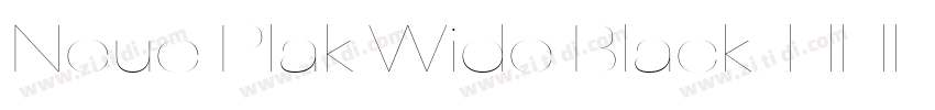 Neue Plak Wide Black字体转换